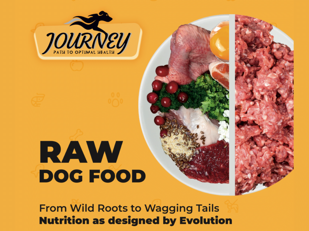 Pet-Care Startup The Pet Journey Introduces Raw Dog Food in India - Business - PNN Digital Pet-Care Startup The Pet Journey Introduces Raw Dog Food in India - New Delhi , February 21: The time to transition to a natural, ancestral food source for our pets is now and The Pet Journey is excited to lead this transformation, promising a future where all dogs in India can enjoy the health and happiness they deserve. - PNN Digital