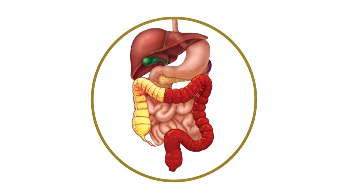 Ayurveda